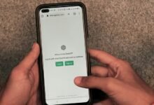 earth betz account access