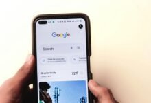 home trotters network website