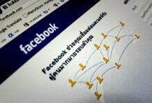 picuki website information source